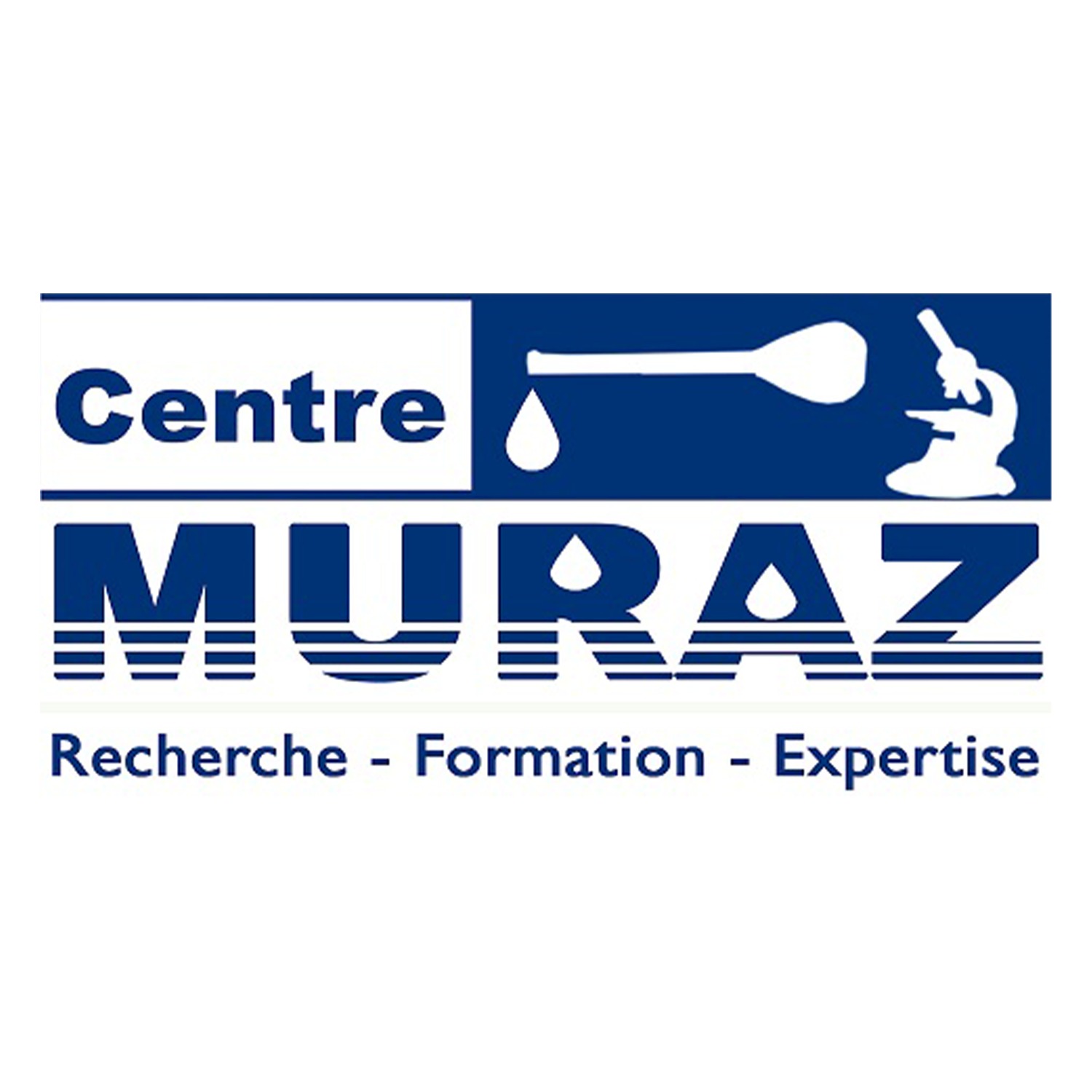 LOGO CENTRE MURAZ