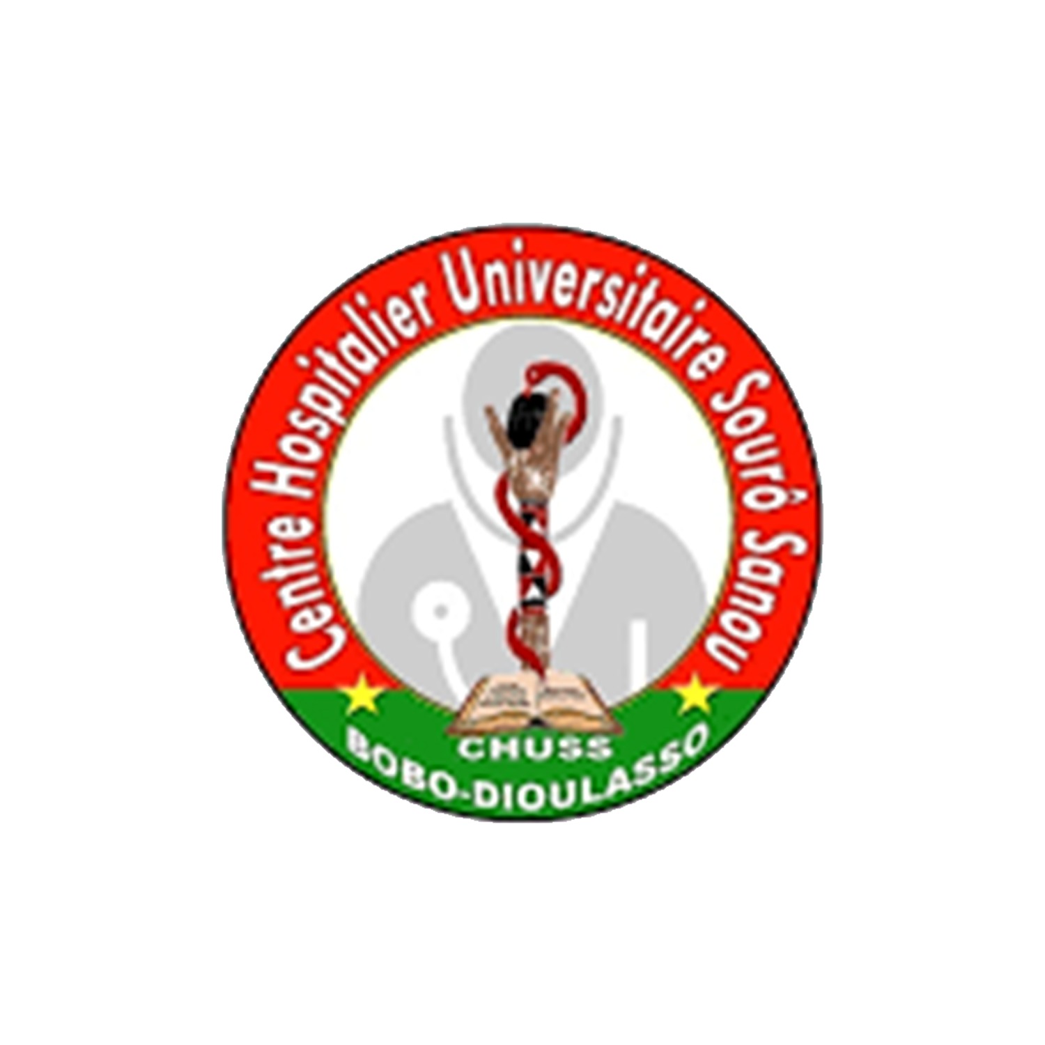 LOGO CHUSS