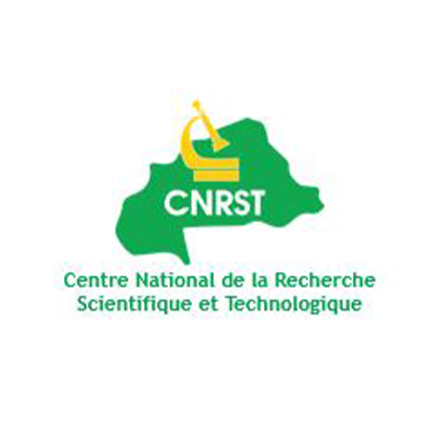 LOGO CNSRT