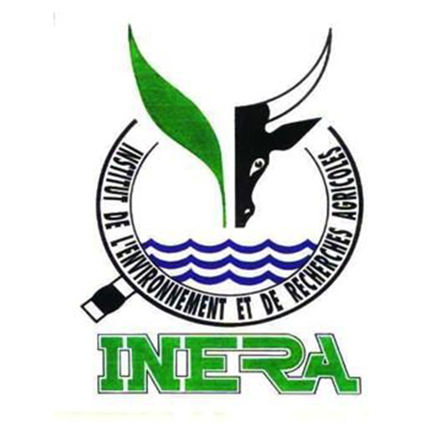 LOGO INERA